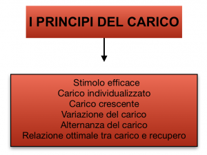 principio del carico