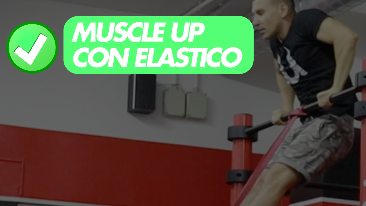 muscle up elastico