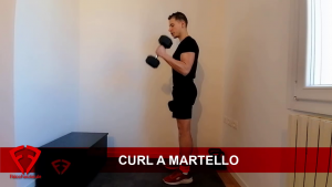 curl a martello bicipiti