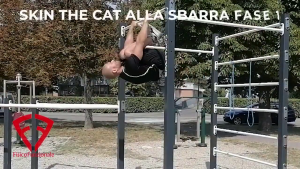 skin the cat alla sbarra